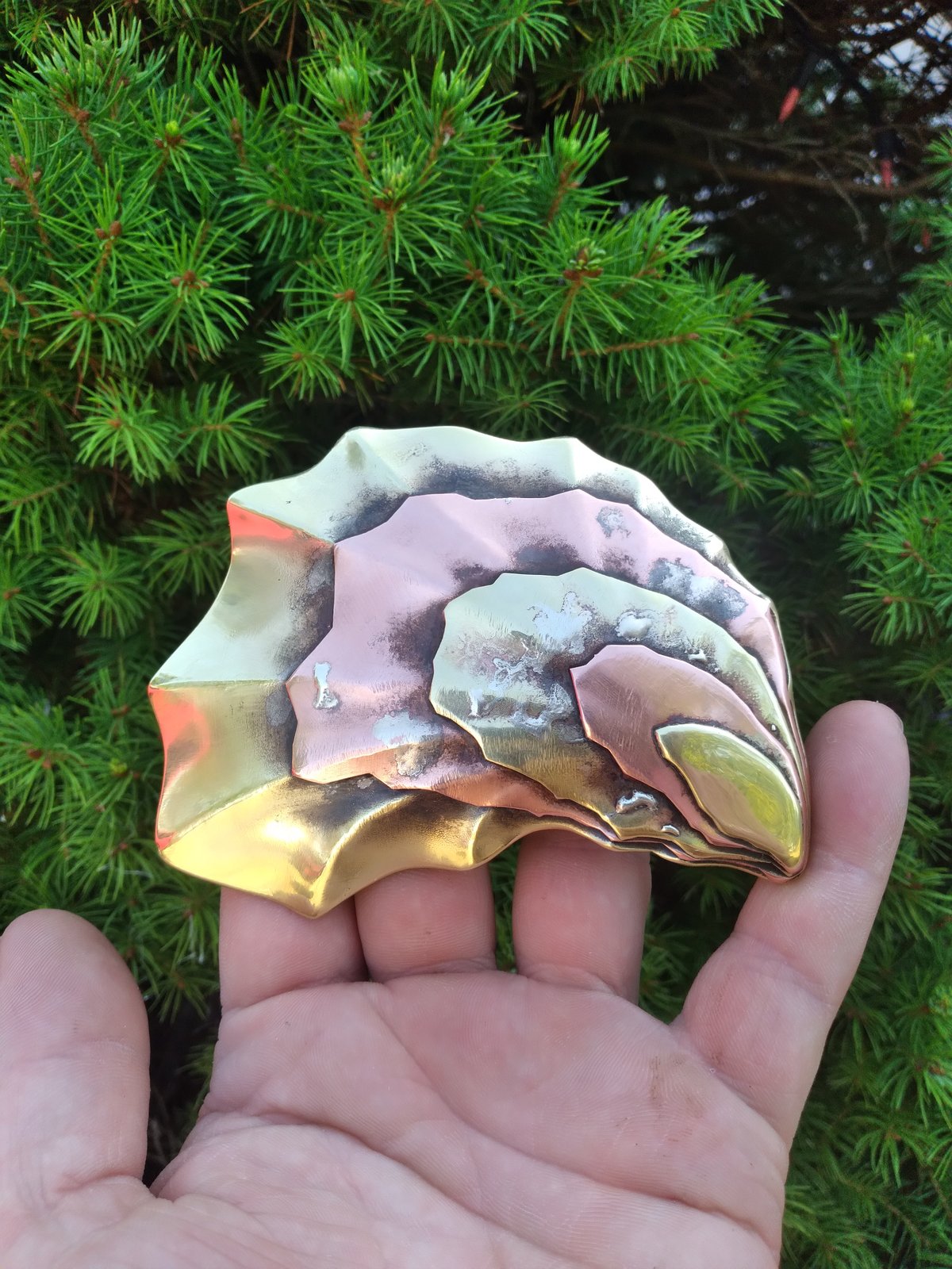 Forged shell form
