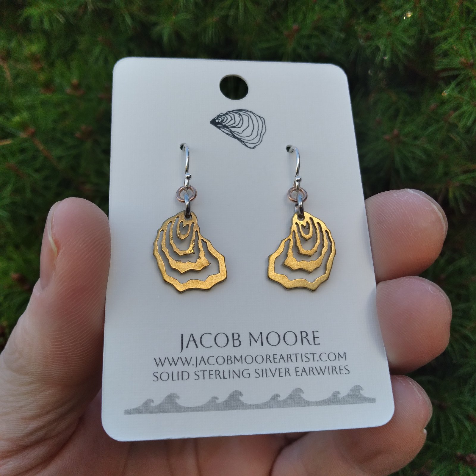 Shell earrings