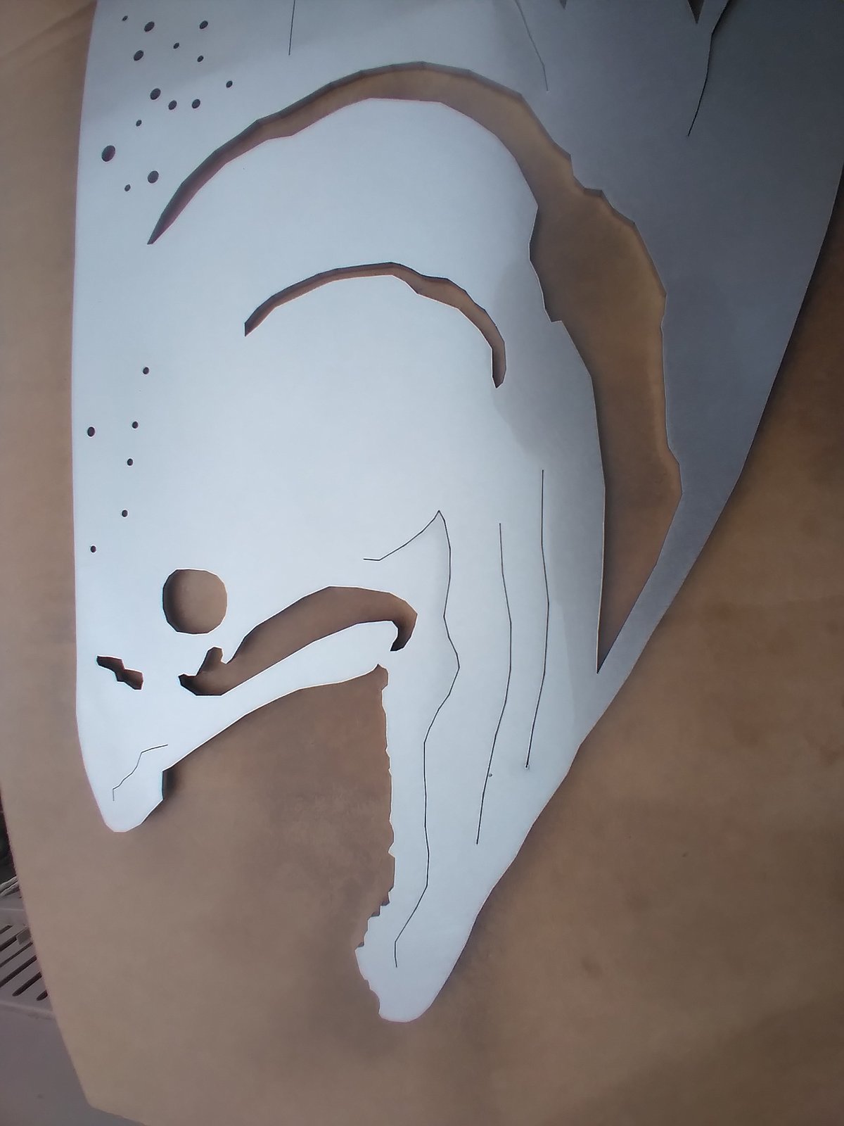Fish silhouette detail